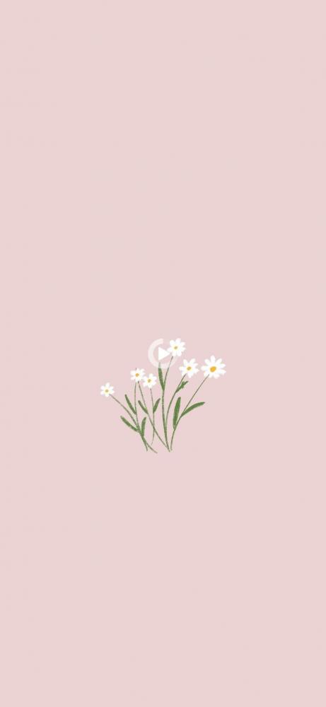 Aesthetic Flower Wallpaper - NawPic