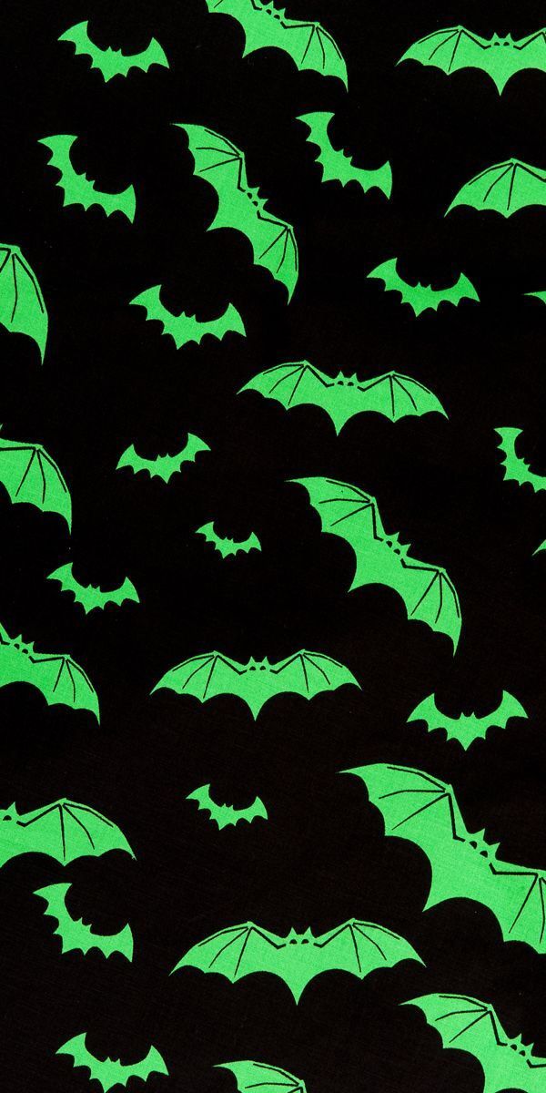 HD wallpaper full moon night bats darkness halloween bird vertebrate   Wallpaper Flare