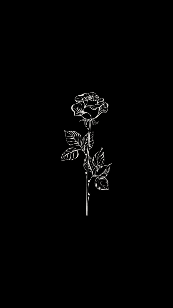 Black Rose HD Wallpaper APK for Android Download