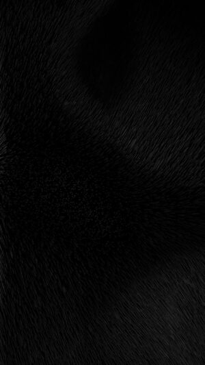 Black Screen Wallpaper Nawpic