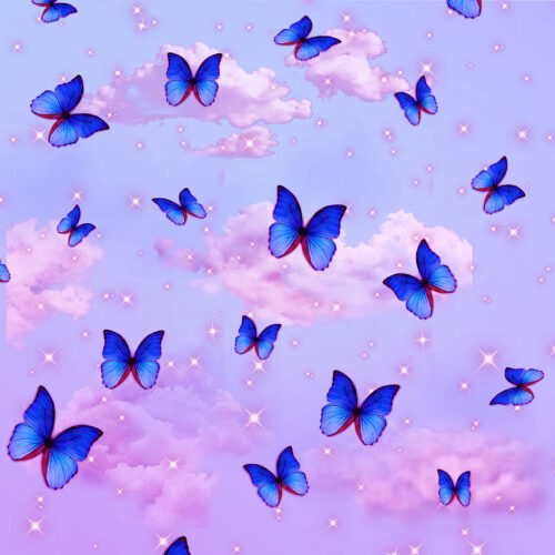 Blue Butterfly Wallpaper - NawPic