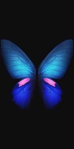 Butterfly Wallpaper - NawPic