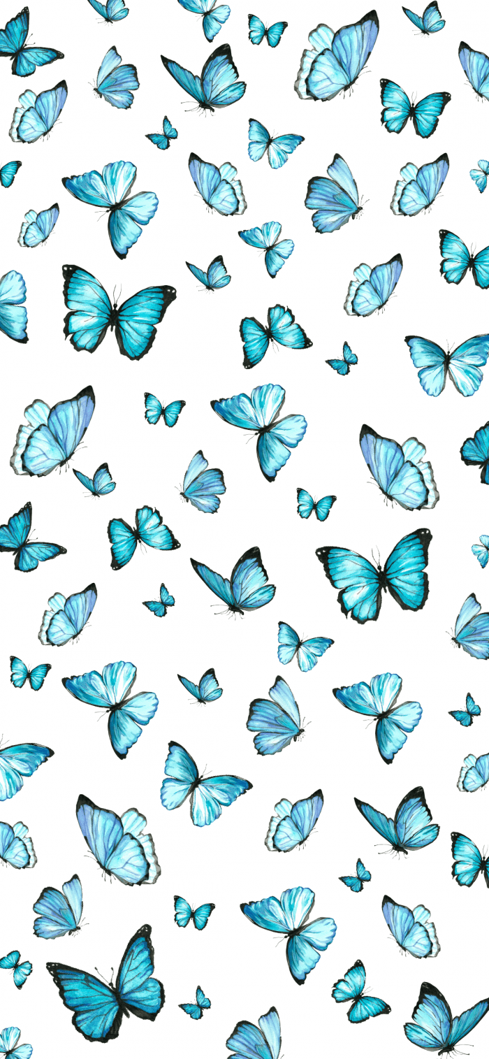 Aesthetic Butterfly Images  Free Download on Freepik