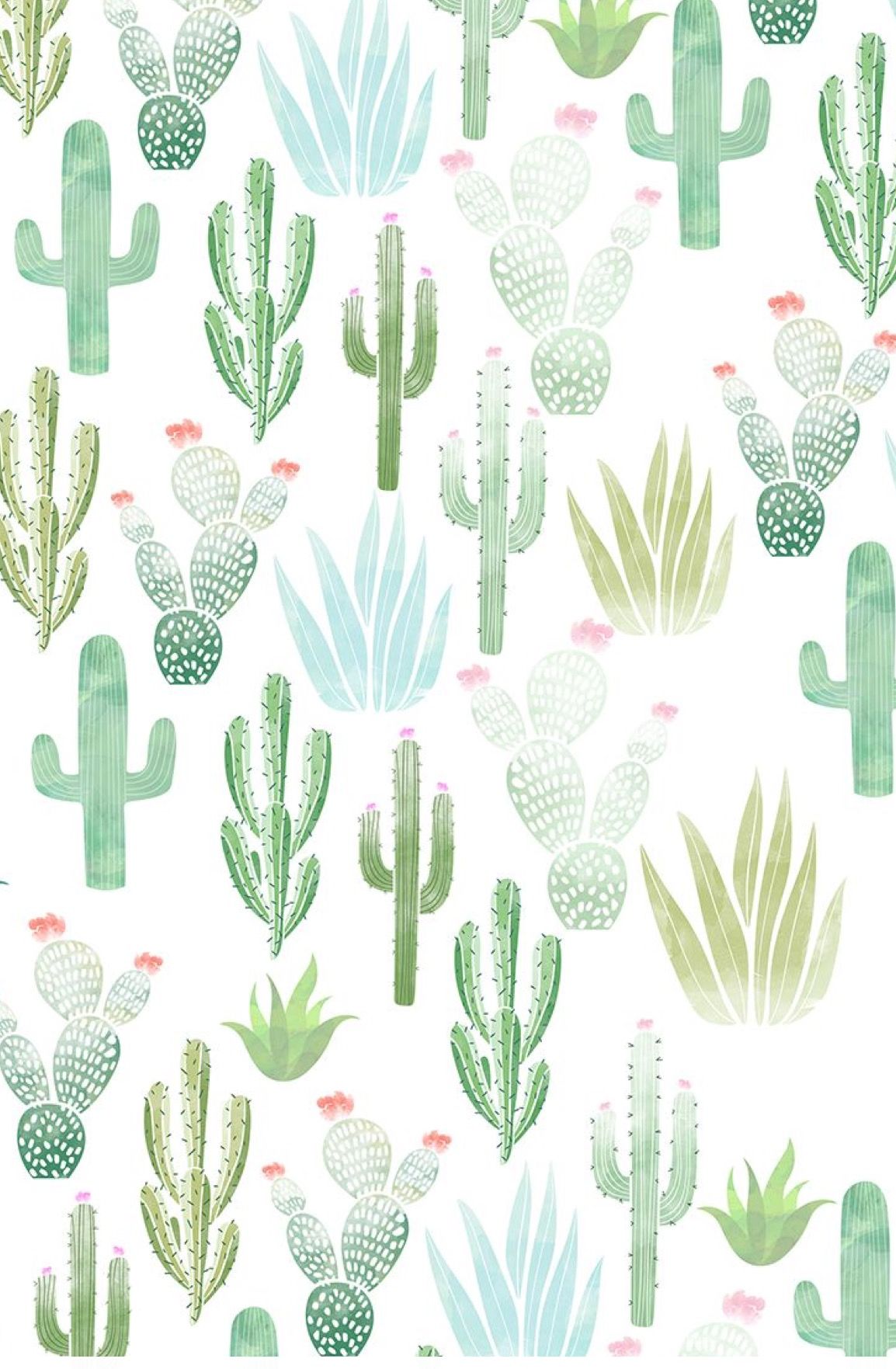 Cactus Background Wallpaper - NawPic