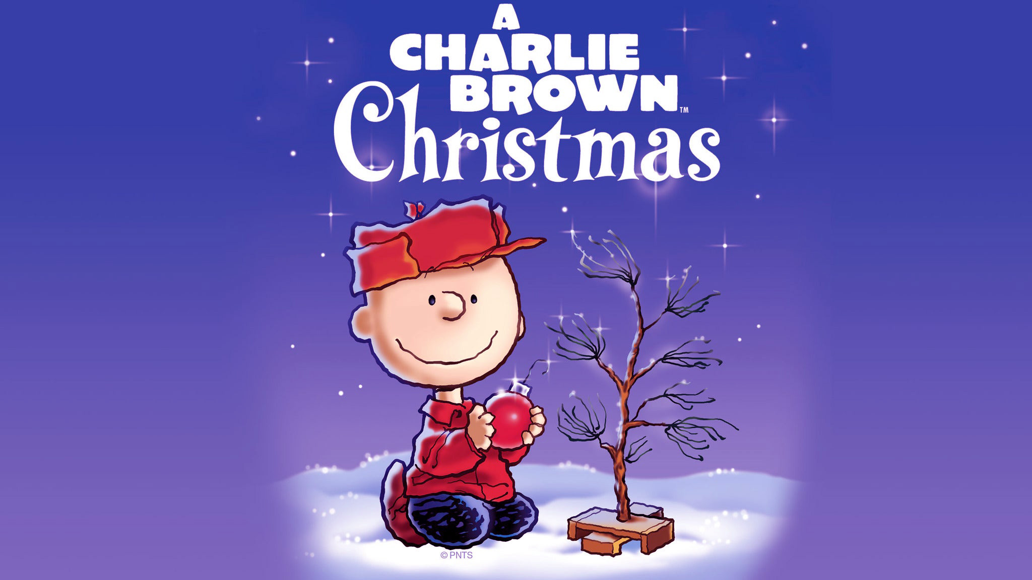 Pics of charlie brown christmas