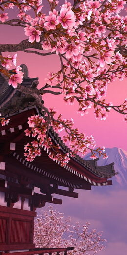 Cherry Blossom Wallpaper