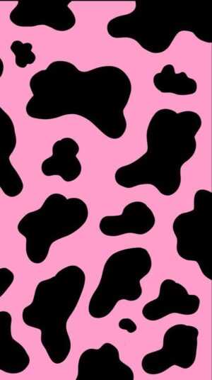 Cow Print Wallpaper - NawPic