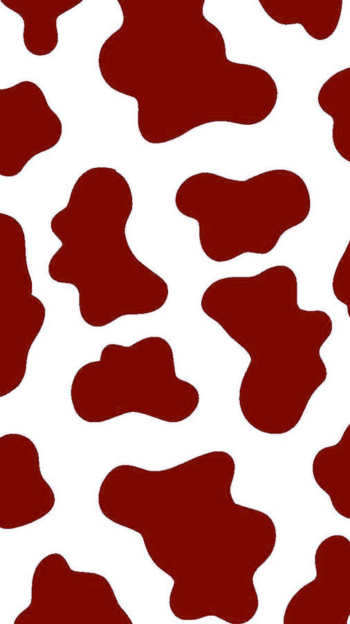 Cow HD wallpapers  Pxfuel