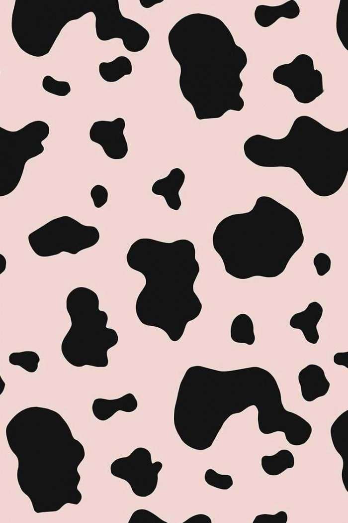 Free download Cow print Wallpaper Cow print wallpaper Cow wallpaper Animal  508x1073 for your Desktop Mobile  Tablet  Explore 23 Cute Animal  Pattern Wallpapers  Cute Animal Wallpapers Cute Animal Backgrounds