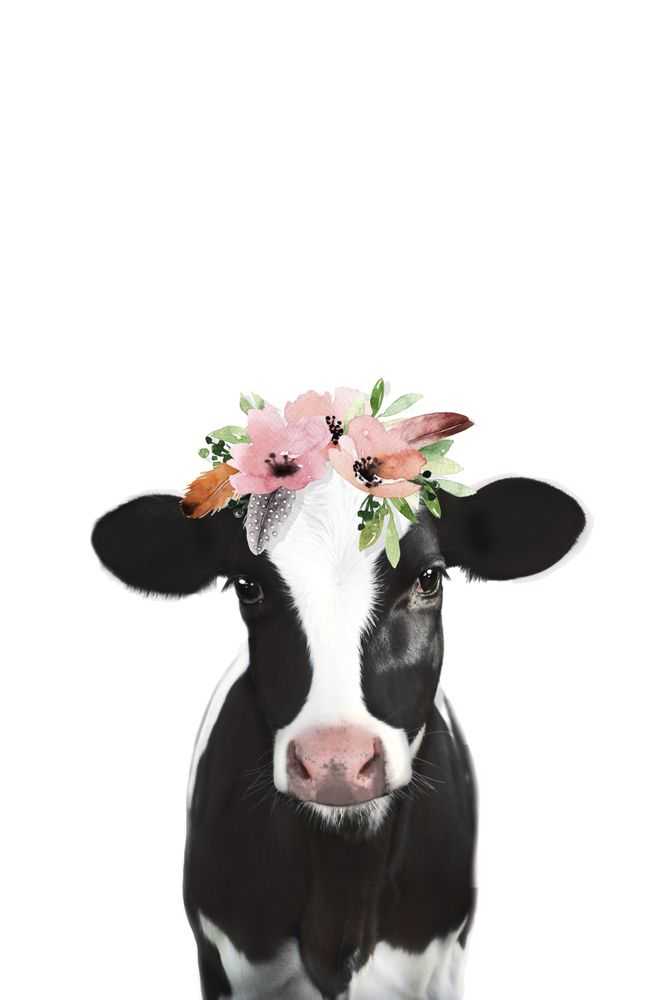Cute Cartoon Cow Wallpaper