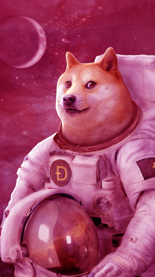 Doge Wallpaper - NawPic