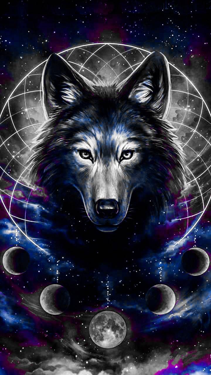 Galaxy cute wolf Wallpapers Download  MobCup