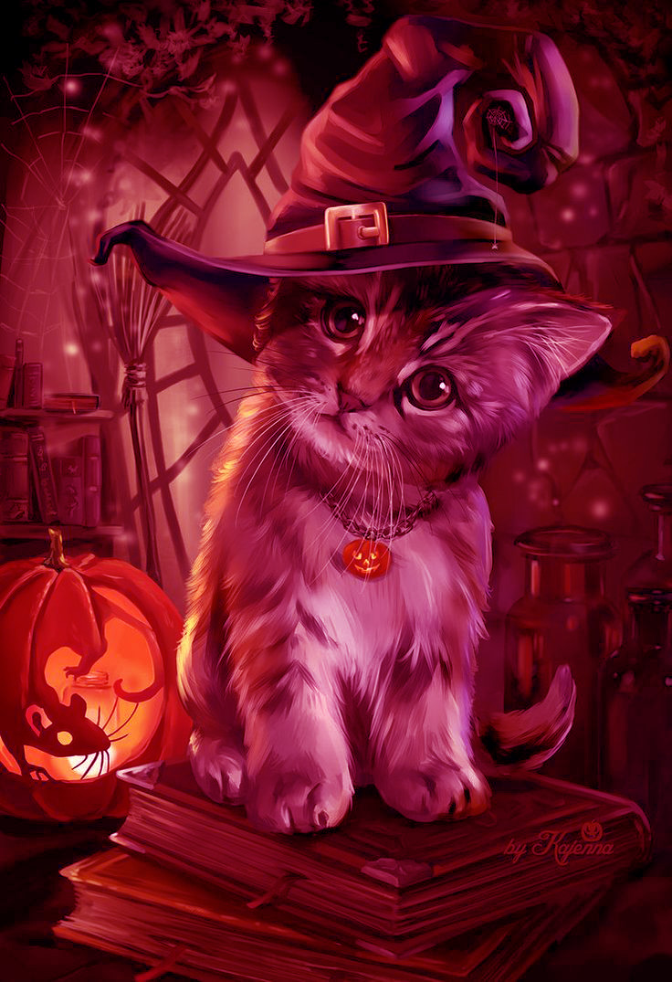 Halloween Cat Wallpaper