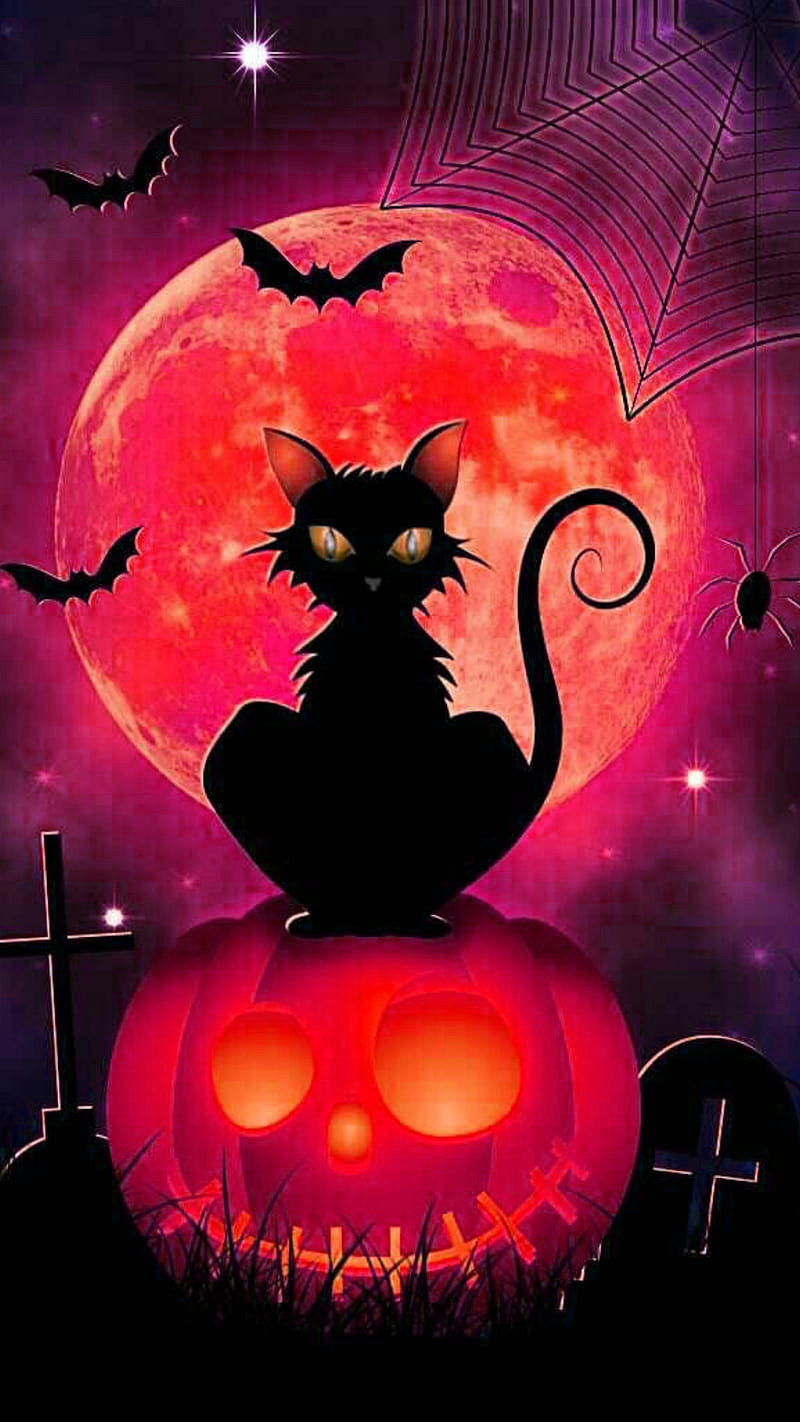 halloween cats background