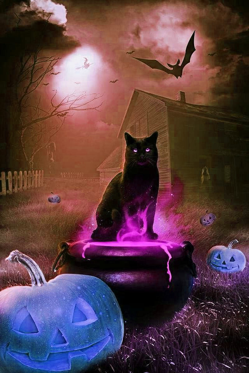 halloween cats background