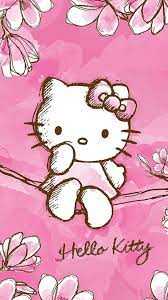 300 Hello Kitty Wallpapers  Wallpaperscom