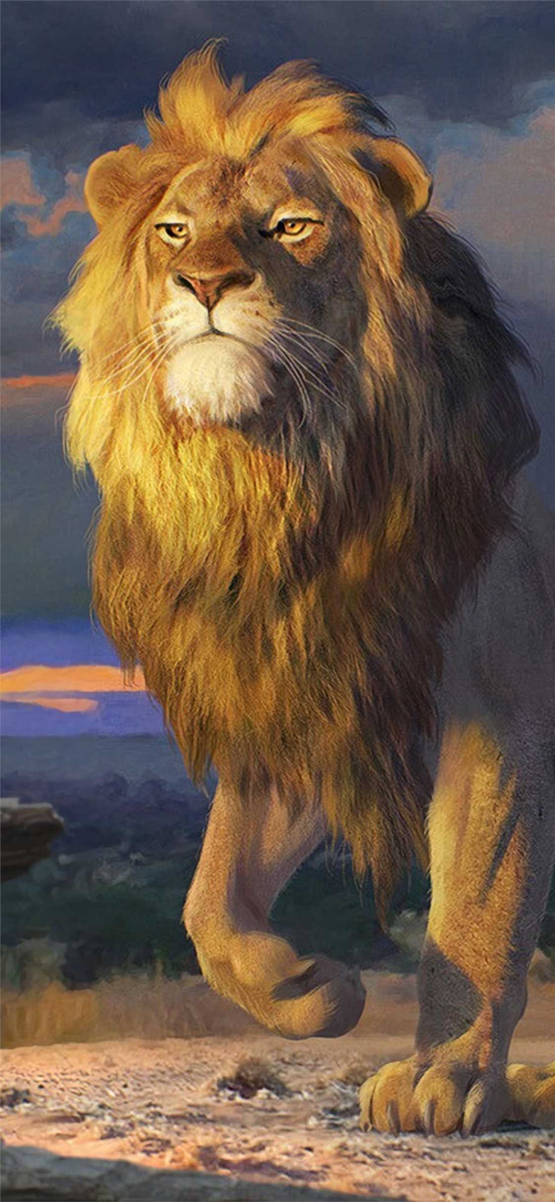 hd lion wallpaper desktop
