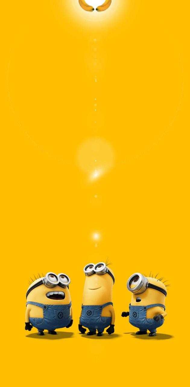 Cute Minion Wallpapers  Top Free Cute Minion Backgrounds  WallpaperAccess