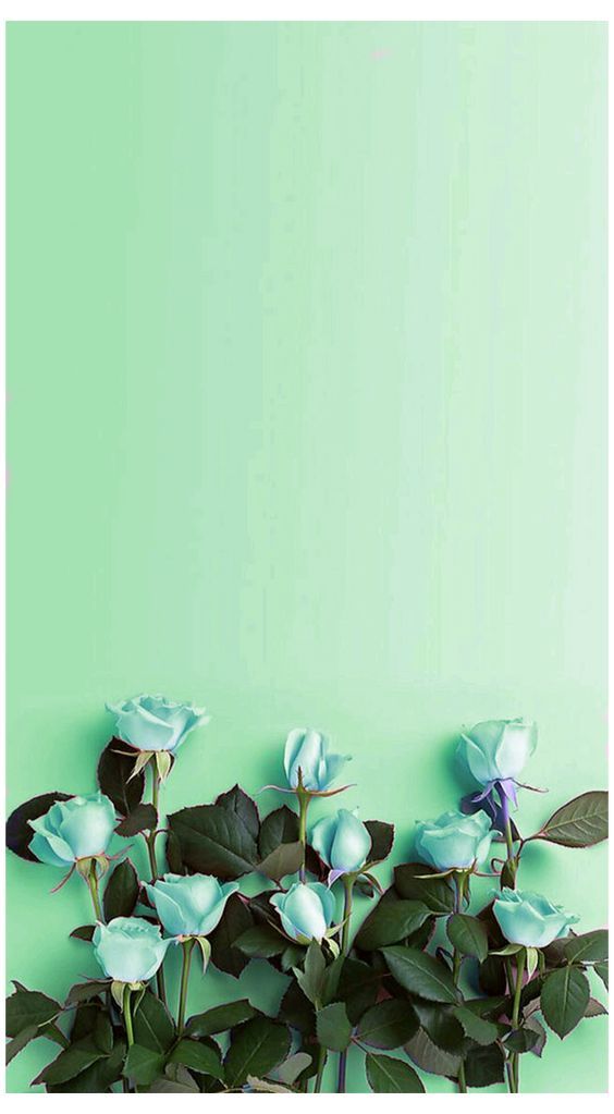 Ombre Mint Color Wallpaper