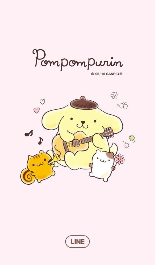 Pompompurin Wallpaper