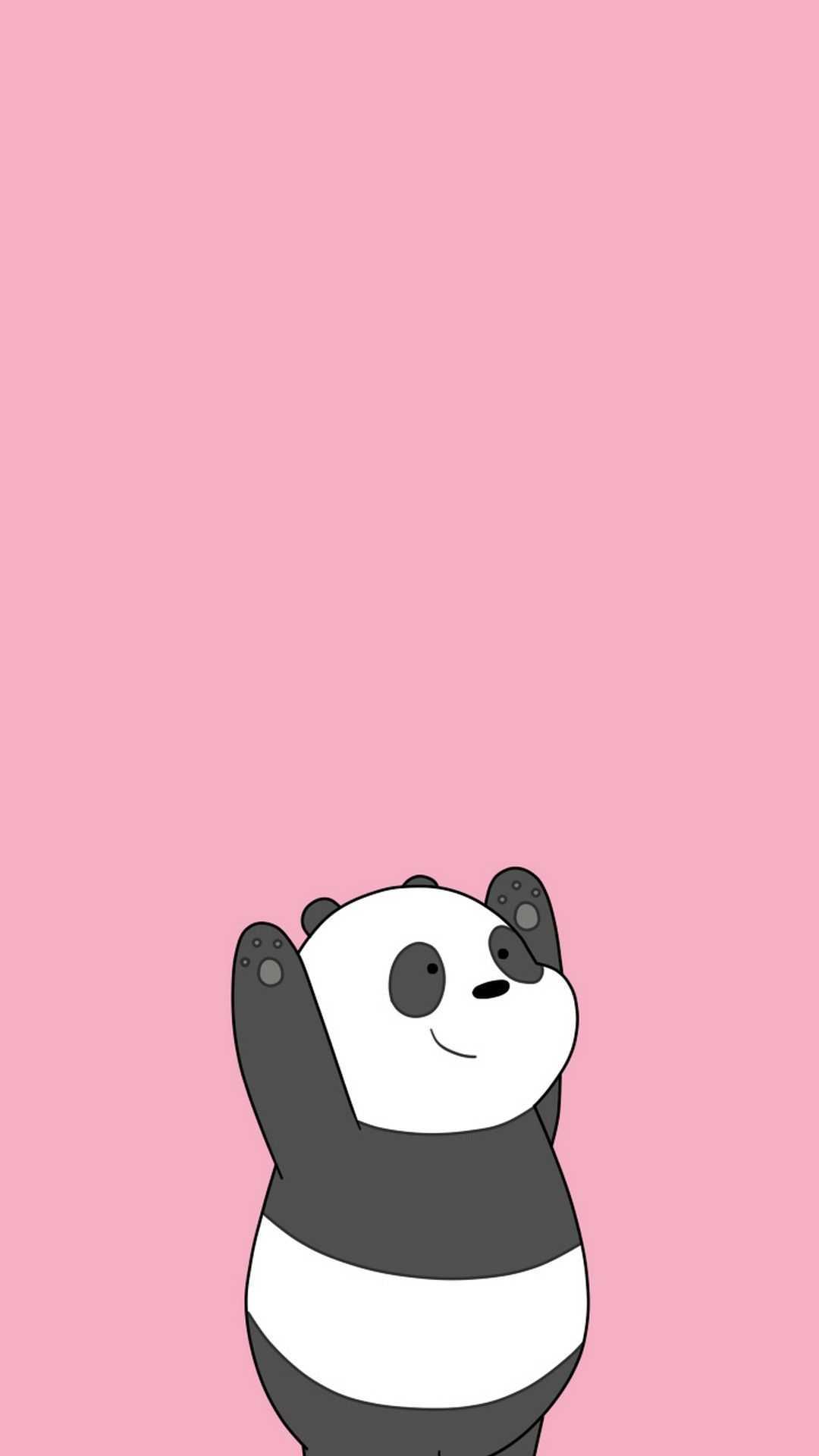 Cute Panda iPhone Wallpapers on WallpaperDog