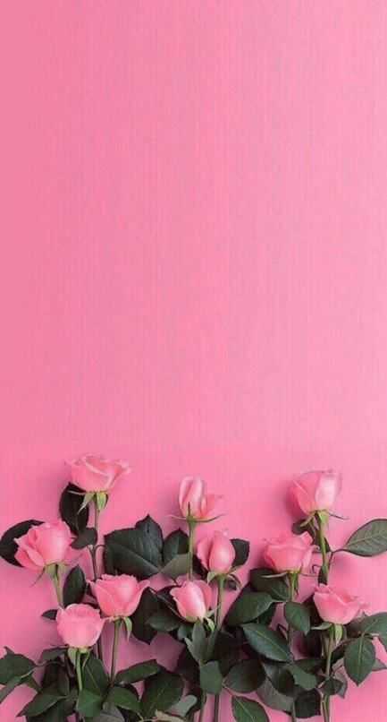 girly wallpapers for iphone lock screen