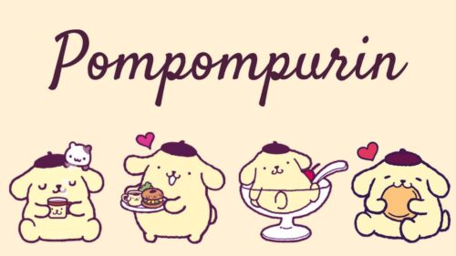 Pompompurin Wallpaper