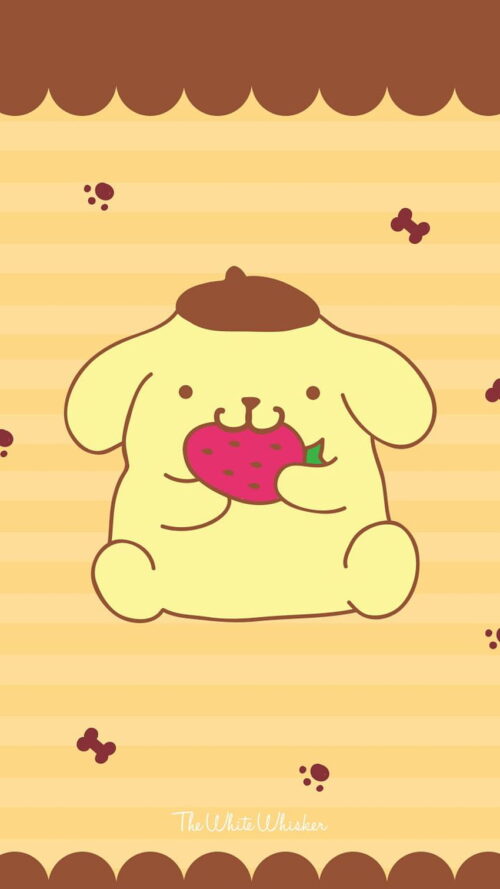 Pompompurin Wallpaper