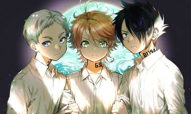 Wallpaper ID 1572139  4K The Promised Neverland Anime free download