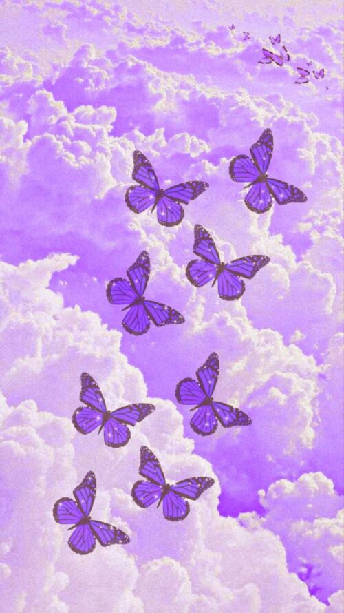 Purple Butterfly Wallpaper - NawPic