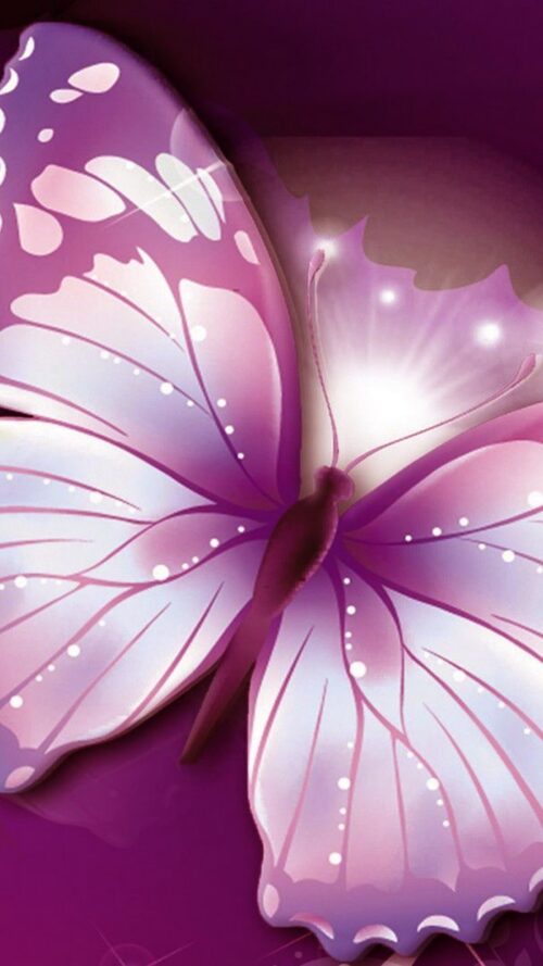 Purple Butterfly Wallpaper Nawpic