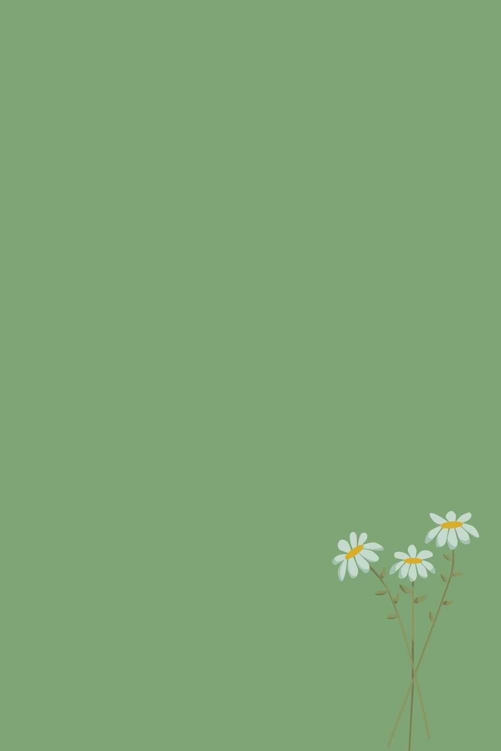 Sage Green Wallpapers and Backgrounds  WallpaperCG
