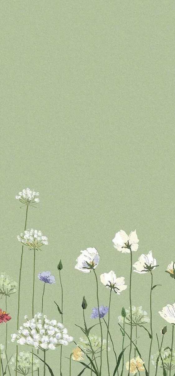 Pin by natalie wargo on sage  Iphone wallpaper green Sage green wallpaper  Sage green flowers