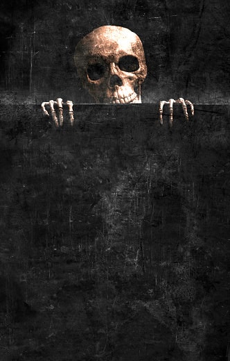 441296 4K spooky skeleton skull simple background Halloween black  background horror bones  Rare Gallery HD Wallpapers