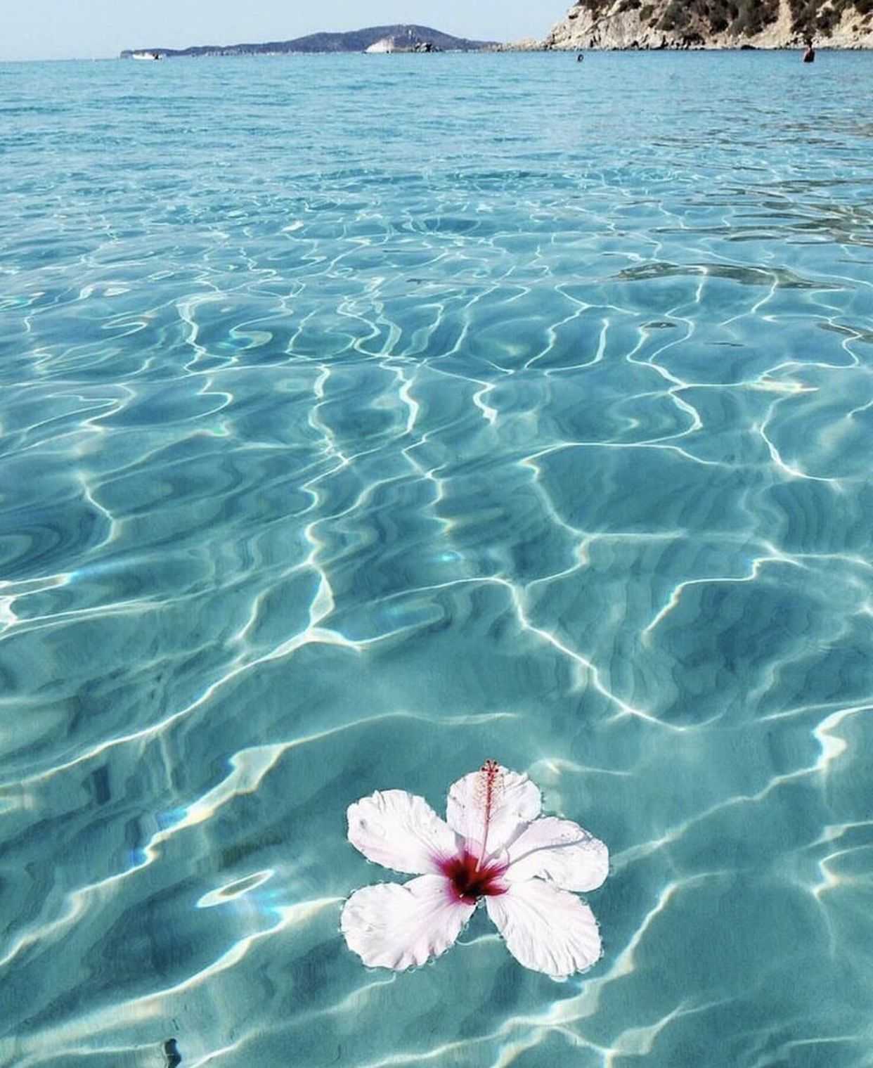 море всех цветов