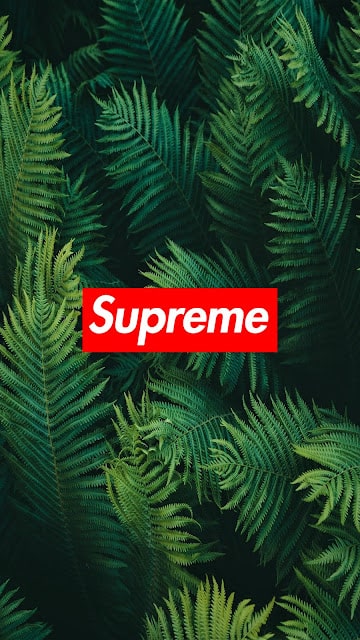 Supreme Wallpaper - NawPic