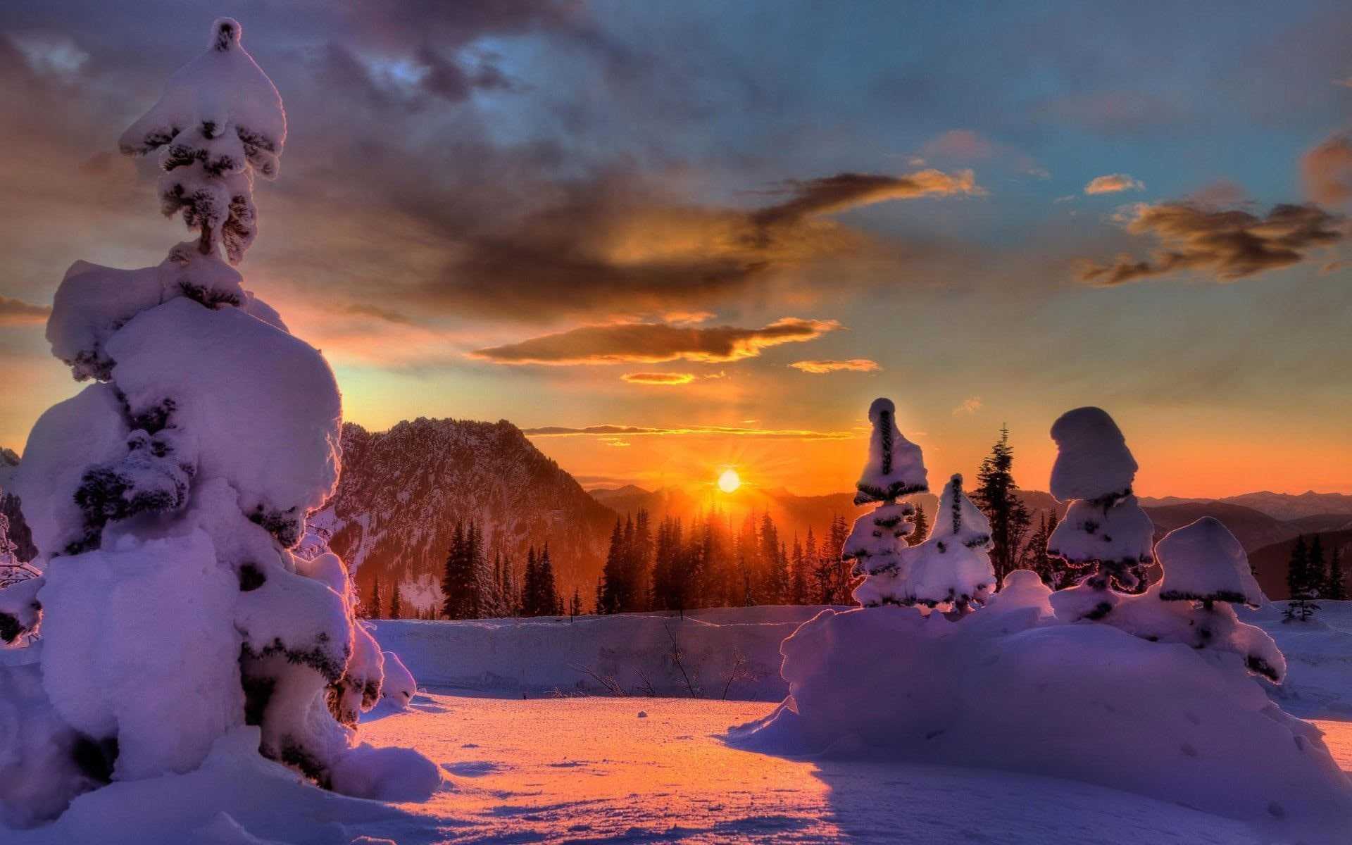 Winter Background Wallpaper Nawpic