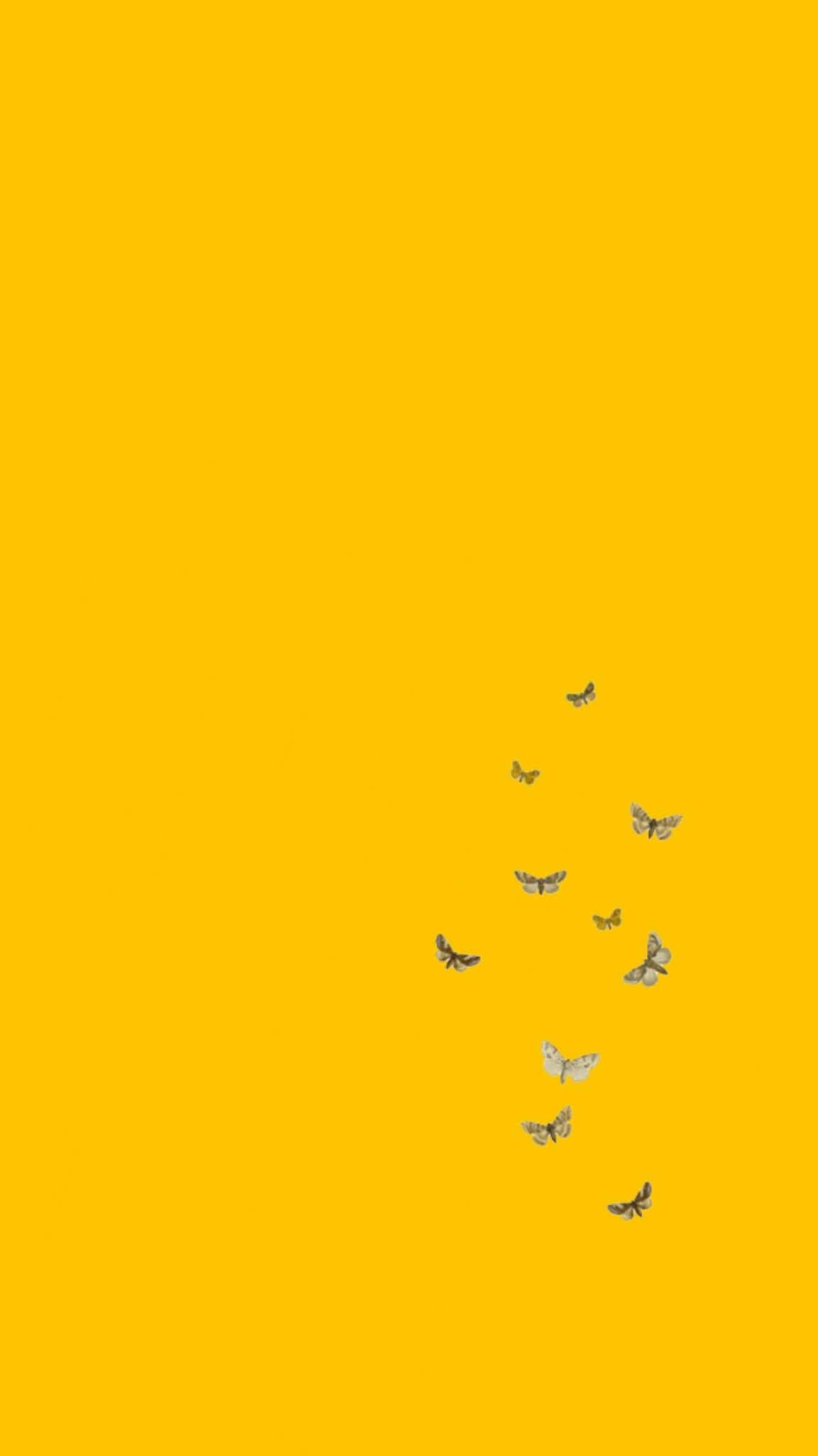 Free download 35 Yellow Aesthetic Wallpaper Yellow aesthetic Cute home  screen 1125x1988 for your Desktop Mobile  Tablet  Explore 21 Pretty  Aesthetic Wallpapers  Pretty Wallpaper Background Pretty Aesthetic  Wallpaper